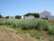 Terreno R�stico - Vidais, Caldas da Rainha, Leiria - Miniatura: 5/9