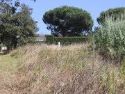 Terreno R�stico - Vidais, Caldas da Rainha, Leiria - Miniatura: 7/9