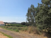 Terreno R�stico - Vidais, Caldas da Rainha, Leiria - Miniatura: 9/9