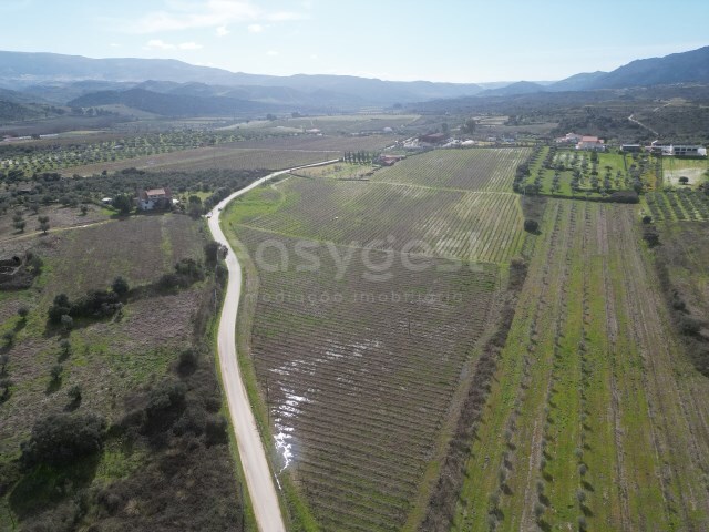 Terreno R�stico - Horta da Vilari�a, Torre de Moncorvo, Bragan�a - Imagem grande