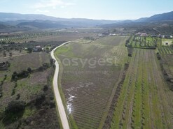 Terreno R�stico - Horta da Vilari�a, Torre de Moncorvo, Bragan�a
