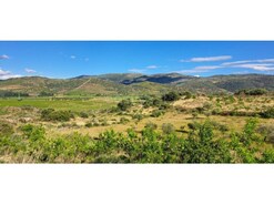 Terreno R�stico - Cabe�a Boa, Torre de Moncorvo, Bragan�a
