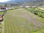 Terreno R�stico - Horta da Vilari�a, Torre de Moncorvo, Bragan�a - Miniatura: 1/9