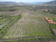Terreno R�stico - Horta da Vilari�a, Torre de Moncorvo, Bragan�a - Miniatura: 2/9