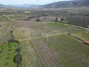 Terreno R�stico - Horta da Vilari�a, Torre de Moncorvo, Bragan�a - Miniatura: 4/9