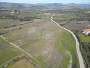 Terreno R�stico - Horta da Vilari�a, Torre de Moncorvo, Bragan�a - Miniatura: 5/9
