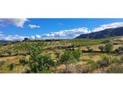 Terreno R�stico - Cabe�a Boa, Torre de Moncorvo, Bragan�a - Miniatura: 1/9