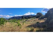 Terreno R�stico - Cabe�a Boa, Torre de Moncorvo, Bragan�a - Miniatura: 3/9