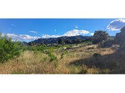 Terreno R�stico - Cabe�a Boa, Torre de Moncorvo, Bragan�a - Miniatura: 4/9