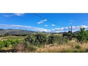 Terreno R�stico - Cabe�a Boa, Torre de Moncorvo, Bragan�a - Miniatura: 5/9