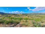 Terreno R�stico - Cabe�a Boa, Torre de Moncorvo, Bragan�a - Miniatura: 6/9