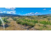 Terreno R�stico - Cabe�a Boa, Torre de Moncorvo, Bragan�a - Miniatura: 7/9