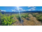 Terreno R�stico - Cabe�a Boa, Torre de Moncorvo, Bragan�a - Miniatura: 8/9