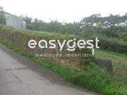 Terreno R�stico - Santa Clara, Coimbra, Coimbra - Miniatura: 2/4