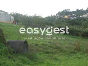 Terreno R�stico - Santa Clara, Coimbra, Coimbra - Miniatura: 4/4