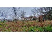 Moradia T4 - Mafamude, Vila Nova de Gaia, Porto - Miniatura: 9/9