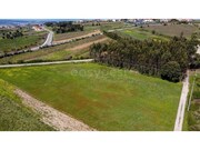 Terreno R�stico - Usseira, �bidos, Leiria - Miniatura: 1/9