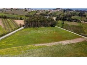 Terreno R�stico - Usseira, �bidos, Leiria - Miniatura: 2/9
