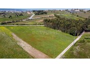 Terreno R�stico - Usseira, �bidos, Leiria - Miniatura: 3/9