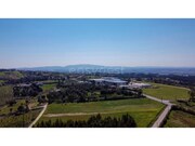 Terreno R�stico - Usseira, �bidos, Leiria - Miniatura: 6/9