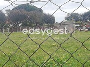 Terreno Urbano - Figueira dos Cavaleiros, Ferreira do Alentejo, Beja - Miniatura: 1/5