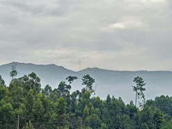 Moradia T4 - Prado (S�o Miguel), Vila Verde, Braga - Miniatura: 62/62