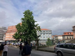 Apartamento T0 - Cedofeita, Porto, Porto - Miniatura: 25/31