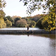 Apartamento T4 - Aldoar, Porto, Porto - Miniatura: 13/18