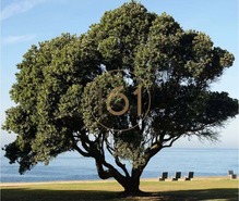 Apartamento T4 - Aldoar, Porto, Porto - Miniatura: 15/18