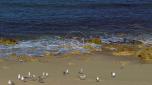 Pr�dio T0 - Canidelo, Vila Nova de Gaia, Porto - Miniatura: 14/19