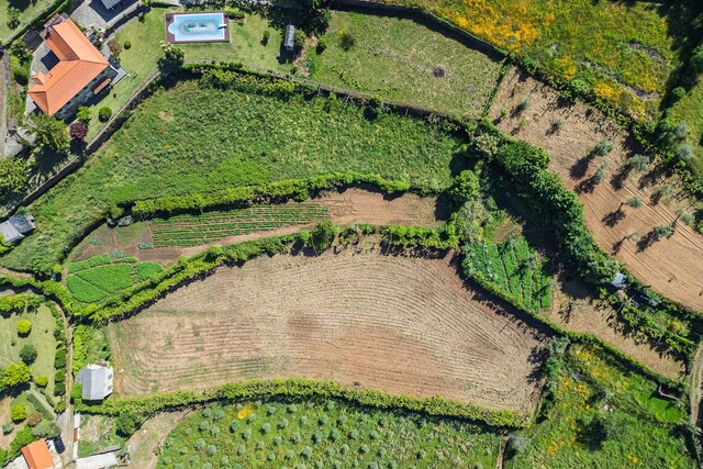 Terreno R�stico T0 - Canelas, Arouca, Aveiro - Imagem grande
