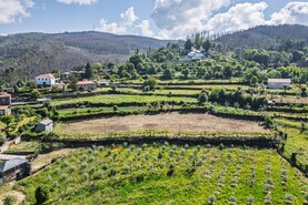 Terreno R�stico T0 - Canelas, Arouca, Aveiro - Miniatura: 2/24