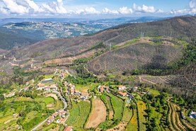 Terreno R�stico T0 - Canelas, Arouca, Aveiro - Miniatura: 5/24