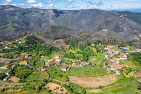 Terreno R�stico T0 - Canelas, Arouca, Aveiro - Miniatura: 6/24