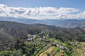 Terreno R�stico T0 - Canelas, Arouca, Aveiro - Miniatura: 8/24
