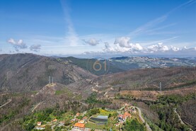 Terreno R�stico T0 - Canelas, Arouca, Aveiro - Miniatura: 12/24