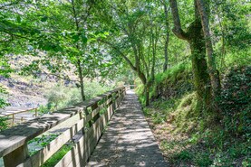 Terreno R�stico T0 - Canelas, Arouca, Aveiro - Miniatura: 15/24