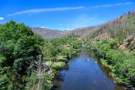 Terreno R�stico T0 - Canelas, Arouca, Aveiro - Miniatura: 18/24