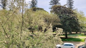 Apartamento T1 - Aldoar, Porto, Porto - Miniatura: 18/20