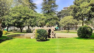 Apartamento T1 - Aldoar, Porto, Porto - Miniatura: 19/20