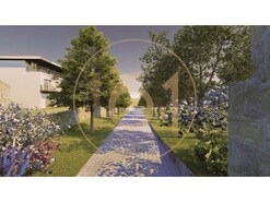 Terreno R�stico T0 - Oliveira do Douro, Vila Nova de Gaia, Porto - Miniatura: 8/14