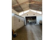 Armazm - Batalha, Batalha, Leiria - Miniatura: 2/5