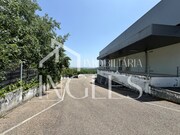Armazm - Santarem, Santarm, Santarm - Miniatura: 4/9