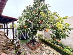 Moradia T3 - Romeira, Santar�m, Santar�m - Miniatura: 22/23