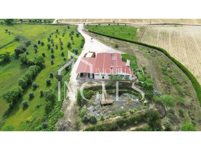 Armazm - Almoster, Santarm, Santarm - Imagem grande