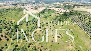 Escrit�rio T0 - Marvila, Santar�m, Santar�m - Miniatura: 22/24