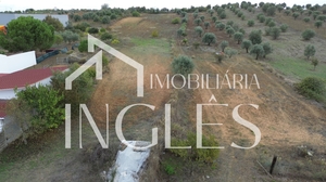 Moradia T4 - Achete, Santar�m, Santar�m - Miniatura: 9/24