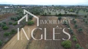 Moradia T4 - Achete, Santar�m, Santar�m - Miniatura: 10/24