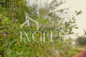 Moradia T4 - Achete, Santar�m, Santar�m - Miniatura: 11/24