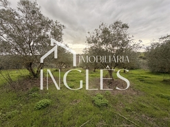 Moradia T2 - Achete, Santar�m, Santar�m - Miniatura: 16/24